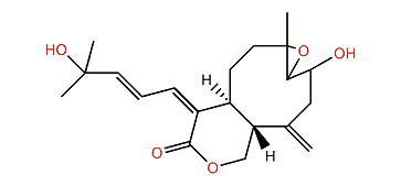 7,8-Oxido-isoxeniolide A